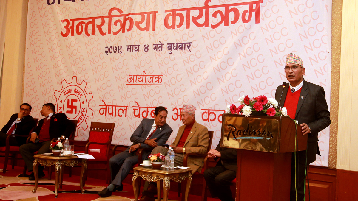 अर्थतन्त्रमा देखिएका समस्या समाधानकाे प्रयास भइरहेको छ : मन्त्री पाैडेल